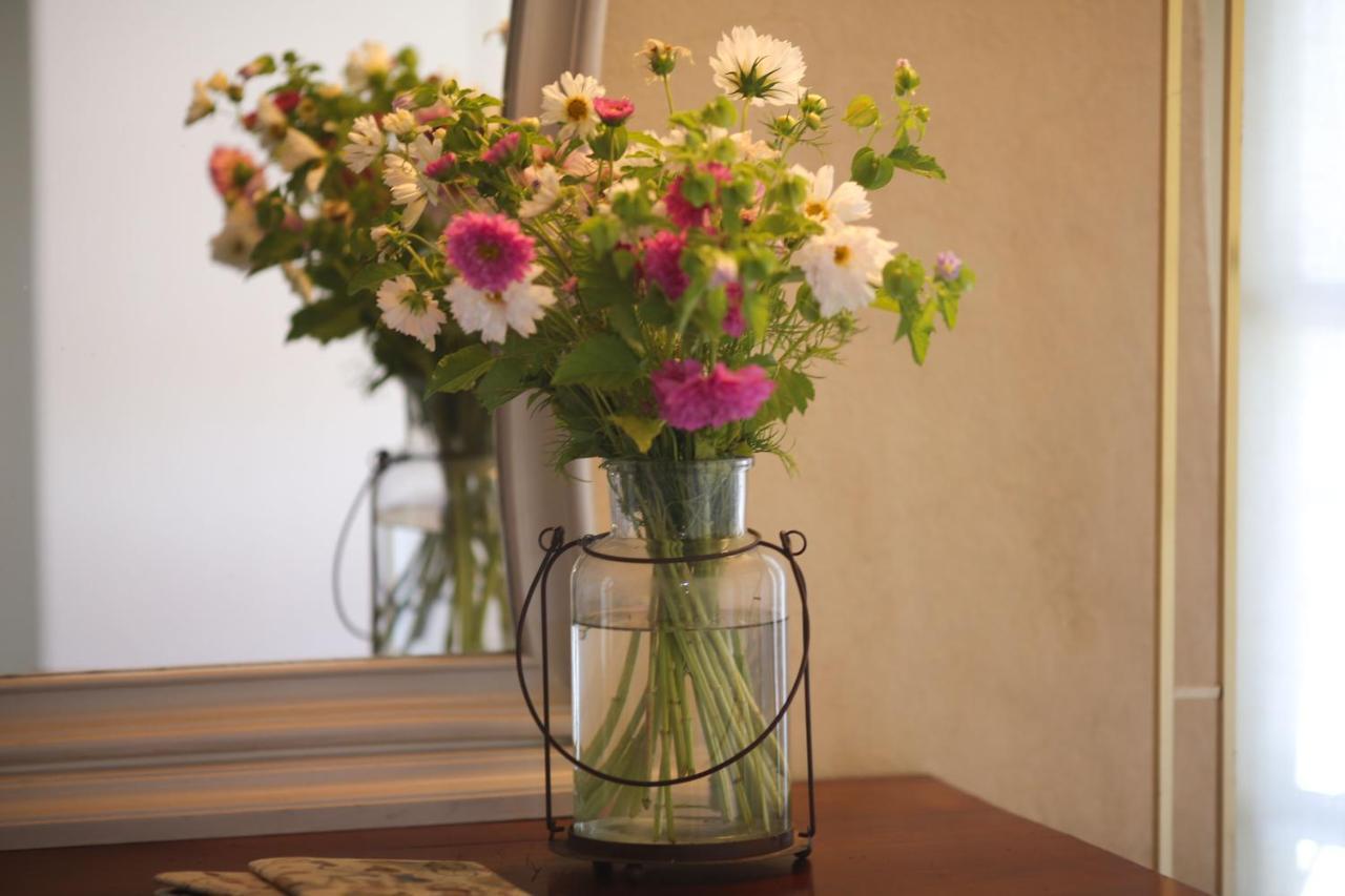 Borgo Dei Gatti Albergo Diffuso & Spa Golferenzo 外观 照片