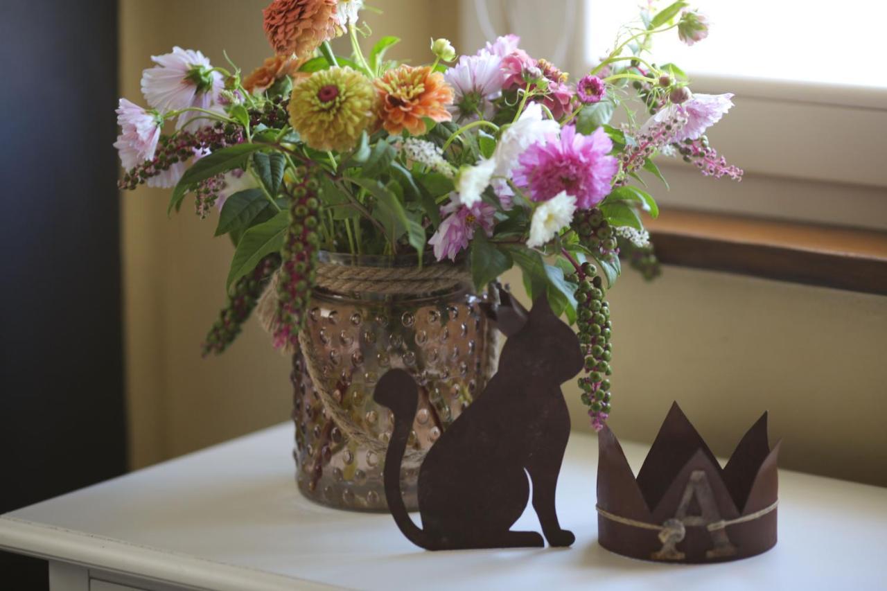 Borgo Dei Gatti Albergo Diffuso & Spa Golferenzo 外观 照片