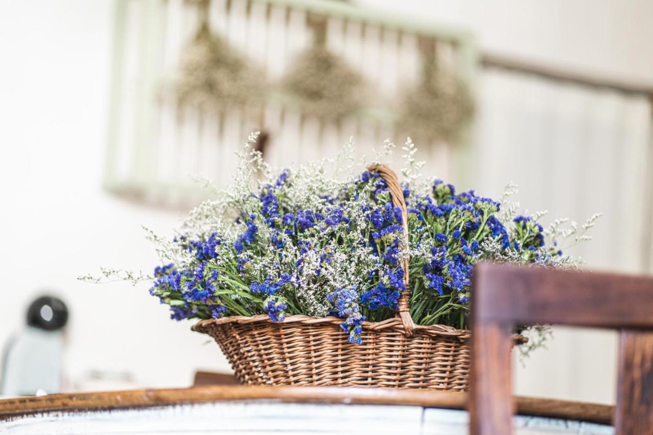 Borgo Dei Gatti Albergo Diffuso & Spa Golferenzo 外观 照片