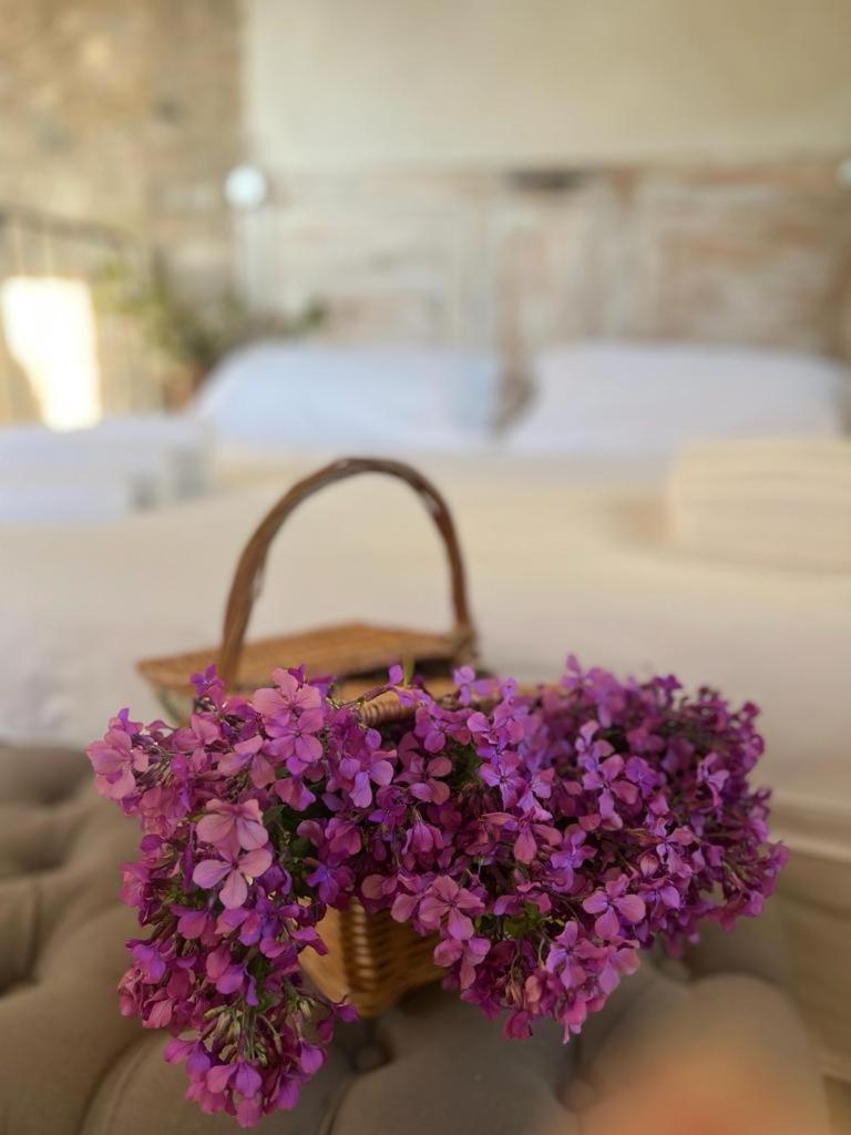 Borgo Dei Gatti Albergo Diffuso & Spa Golferenzo 外观 照片